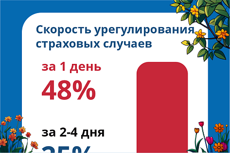 ОСАГО в Новороссии. Июнь